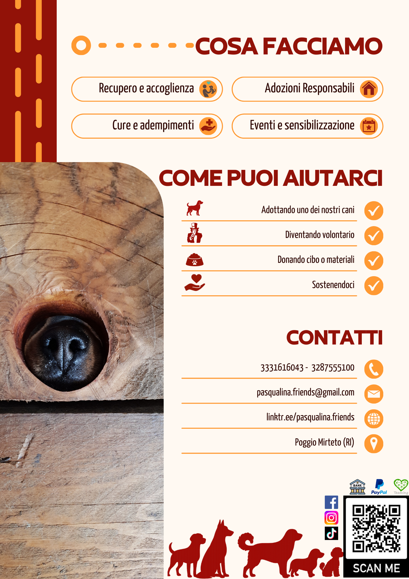 Come Puoi Aiutarci